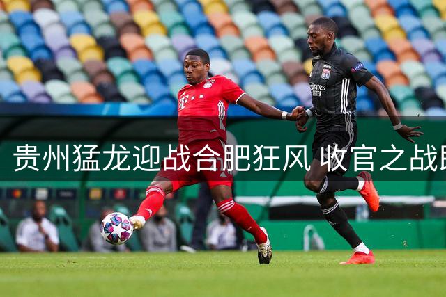 贵州猛龙迎战合肥狂风 收官之战即将打响