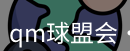 qm球盟会